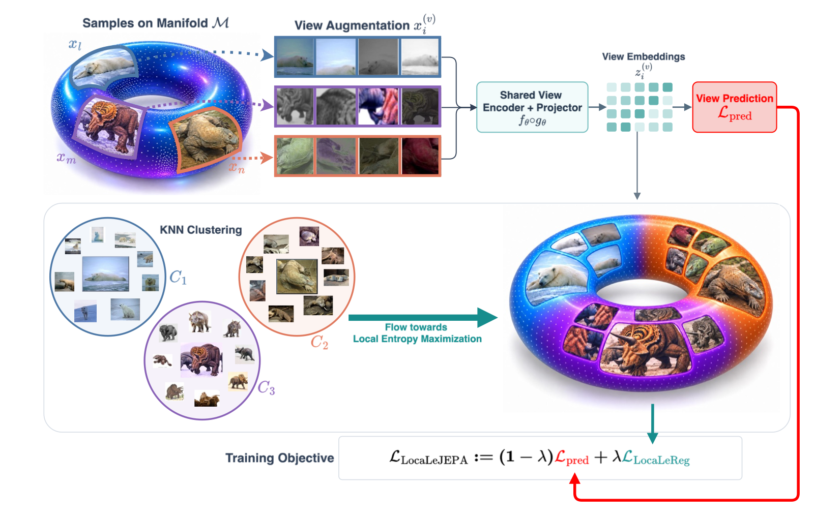 LocaLeJEPA pipeline: multiple image views pass through a shared encoder and projector, then feed view agreement and local distribution matching