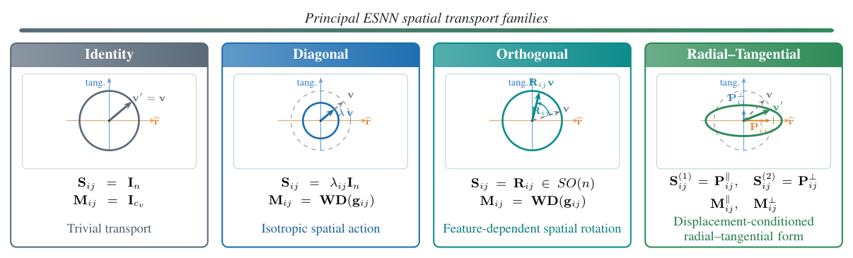 Four panels showing the Identity, Diagonal, Orthogonal and Radial–Tangential spatial actions on a vector at an edge