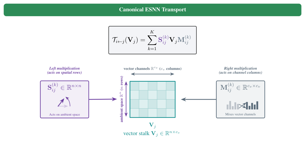 The canonical ESNN transport: the spatial operator left-multiplies the n spatial rows of the vector stalk, the channel operator right-multiplies its channel columns